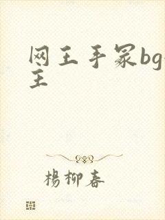 网王手冢bg女主