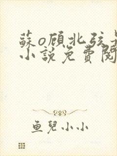 苏o顾北弦最新小说免费阅读