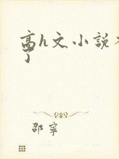 高h文小说不要了