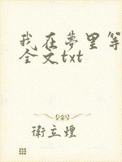 我在梦里等花开全文txt封面