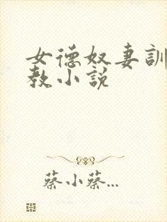 女德奴妻训诫调教小说