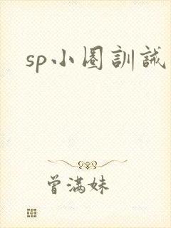 sp小圈训诫文
