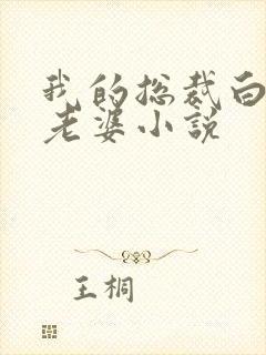 我的总裁白富美老婆小说