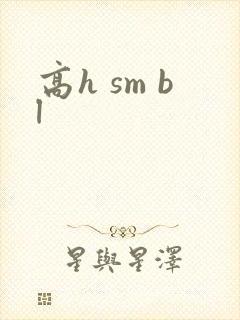 高h sm bl