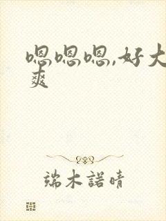 嗯嗯嗯,好大好爽封面