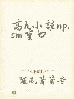 高h小说np,sm重口