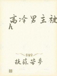 高冷男主被下药h