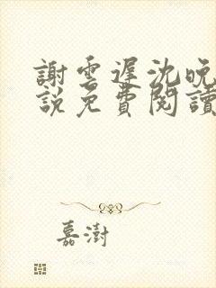 谢云迟沈晚黎小说免费阅读最新章节