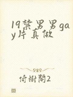 19禁男男gay片真做