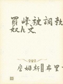 罗峰被调教成肉奴h文封面