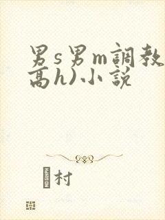 男s男m调教(高h)小说