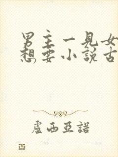 男主一见女主就想要小说古言