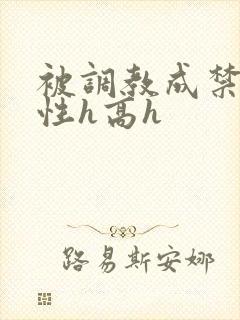 被调教成禁脔双性h高h封面