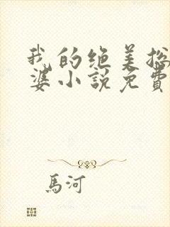 我的绝美总裁老婆小说免费