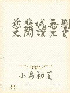 慈悲城无删减全文阅读免费