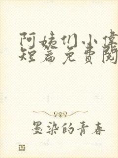 阿姨们小伟小说短篇免费阅读