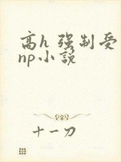 高h 强制受 np小说