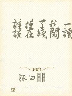 谁摸了我一下小说在线阅读