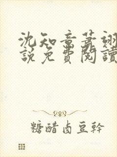 沈知意萧翊宸小说免费阅读封面