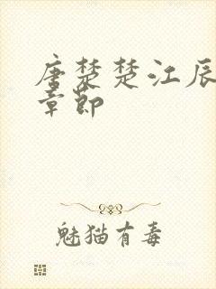 唐楚楚江辰最新章节