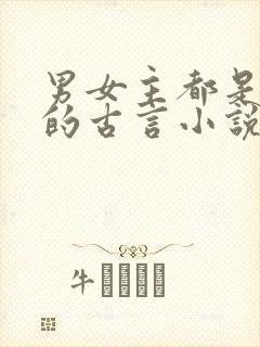 男女主都是将军的古言小说