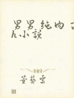 男男 纯肉 高h小说