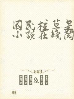 国民校草是女生小说在线阅读