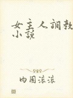 女主人调教男奴小说封面