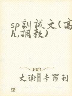 sp训诫文(高h,调教)