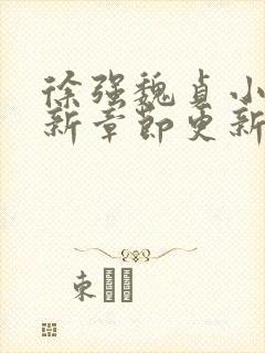 徐强魏贞小说最新章节更新