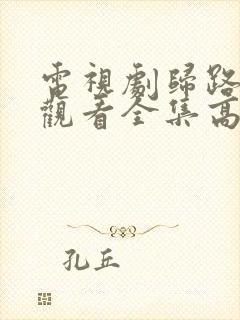 电视剧归路免费观看全集高清版