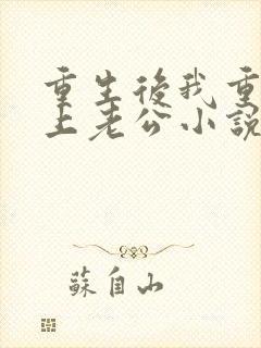 重生后我重新追上老公小说阅读全文