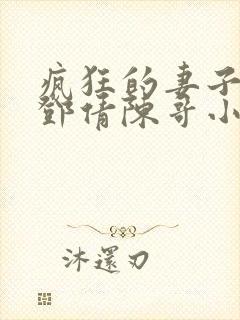 疯狂的妻子林瑶邓倩陈哥小说