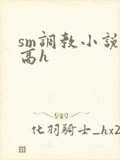 sm调教小说 高h