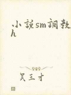小说sm调教高h封面