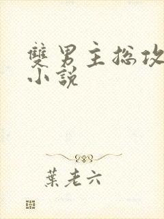 双男主总攻调教小说