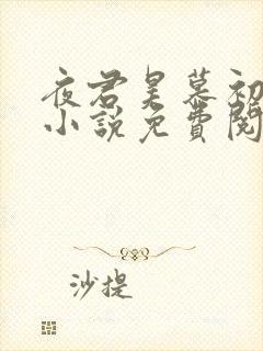 夜君昊慕初晨的小说免费阅读