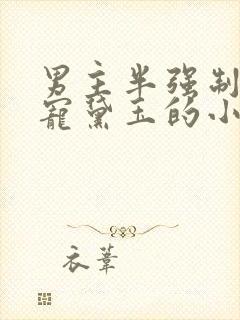 男主半强制霸道宠黛玉的小说封面