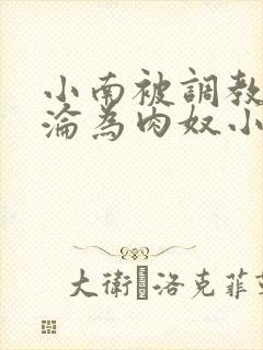 小南被调教喷水沦为肉奴小说