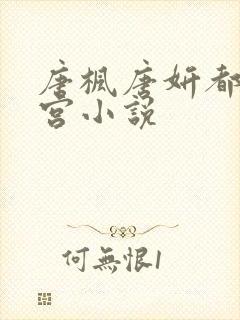 唐枫唐妍都市后宫小说