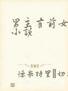 男主有前女友的小说封面