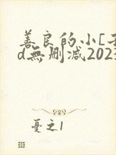 善良的小[子hd无删减2023