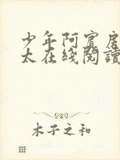 少年阿宾房东太太在线阅读第二章