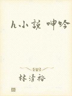 h小说 呻吟封面