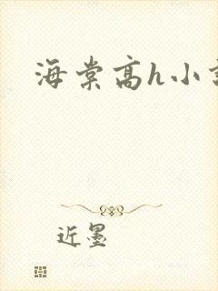 海棠高h小说封面