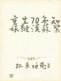 重生70年知青嫁糙汉苏紫柔小说