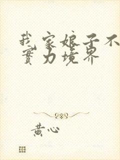 我家娘子不对劲实力境界