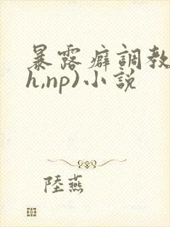 暴露癖调教(高h,np)小说