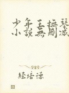 少年王抚琴的人小说无删减正版在线阅读