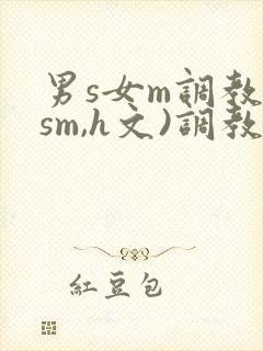 男s女m调教(sm,h文)调教小乳
